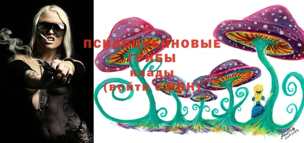 соль курить ск Арсеньев