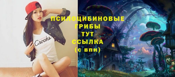 мет Аркадак