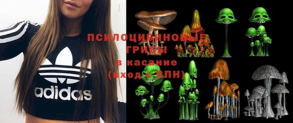 соль курить ск Арсеньев
