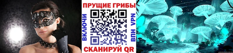 Галлюциногенные грибы GOLDEN TEACHER Хвалынск