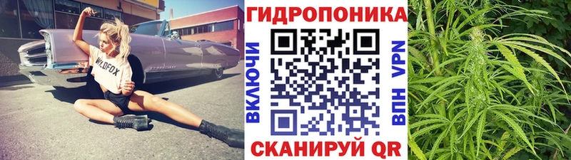 где купить наркотик  Хвалынск  Шишки марихуана тримм 